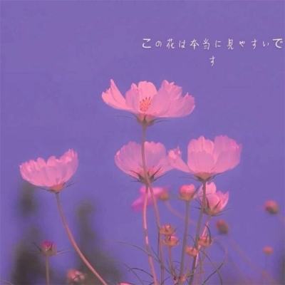 千万元经营性贷款被违法发放！银行经理辩称“没损失”，为何仍被定罪？